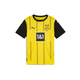 PUMA Funkcionalna majica Borussia Dortmund 24/25, rumena