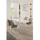 Hanah Home Set Trpezarijski sto i 4 stolice, Bež-beli