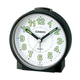 Casio clocks wakeup timers ( TQ-228-1 )