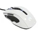 Epicgear Gekkota white Gaming Laserski miš/USB/do 8200dpi/11 tastera/1.8m kabl 262477