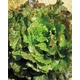 SOLATA CANASTA BIG PACK 15gr