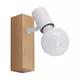 EGLO spot lampa 33168