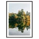 shumee SLIKA, PLAKAT V OKVIRJU 53x73 cm Gozd P2012