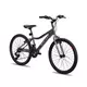 Galaxy Bicikl galaxy festina 24/18 siva/crna/roza mat ( 650243 )
