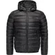 Ragwear Zimska jakna Vellos črna