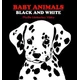 Baby Animals Black and White