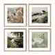 Tiskane slike v kompletu 4 ks z okvirjem 30x30 cm Subtle Nature – Styler