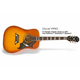 EPIPHONE elektro akustična kitara DOVE PRO
