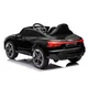 Audi RS E-TRON GT licencirani 2216/1 metalik crni