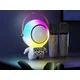 Brezžični Bluetooth 5.3 LCD karaoke zvočnik 2x mikrofon LED RGB FM