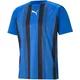 Puma Teamliga Striped Jersey