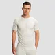 GymBeam Men‘s Pulse X Running T-shirt Gray