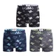 3-PACK moške boksarice Uomo Urban Champion