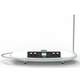 MOOG THEREMINI