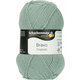 Schachenmayr Bravo Originals 08378 Sea Green