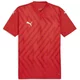 Puma Dres teamGLORY Jersey