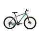 CAPRIOLO MTB OXYGEN 26/21HT sivo-n.zelena