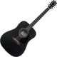 Pasadena PD-200E Black Elektroakustična dreadnought