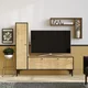 Woody Fashion TV enota