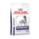 Royal Canin Expert Neutered Adult Dog Medium - Varčno pakiranje: 2 x 9 kg