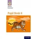 New Nelson Grammar Pupil Book 6 Year 6/P7