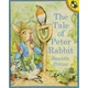 Tale of Peter Rabbit