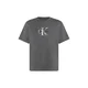 Calvin Klein Jeans Majica 20s temno siva / črna / bela