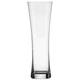 Schott Zwiesel KOZAREC ZA PIVO BASIC, 0,5L