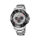 Ročna ura Festina Chrono Bike 20641/1 Srebrna