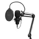 GXT270 EMITA+ II MIC WITH ARM (25770)