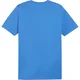 Puma Majice modra M Team Goal