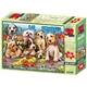 PRIME 3D Puzzle Psi 3D 48 kosov