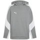teamEVOSTRIPE Hoody