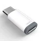 INF Adapter Lightning (ženski) na USB-C (moški)., (21295554)