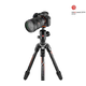 Manfrotto Befree GT karbonsko foto stojalo, zasnovano za fotoaparate ? podjetja Sony - (MKBFRTC4GTA-BH) + BREZPLAČNO - nosilec za pametni telefon (MCPIXI)