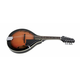TENNESSE MANDOLINA A1 F-holes with case