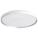 Foshanzhaoming Plafonska lampa LED, 48 W, 220 V, Bela