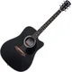 Pasadena PDC-100 Black Akustična kitara (Poškodovano)