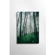 WALLXPERT 1150 70 x 100