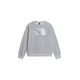 THE NORTH FACE Majica ESSENTIAL SIMPLE DOME pegasto siva/off-bela