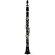Roy Benson CB 418
