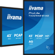 iiyama T4329AS-B1AG Interaktivni zaslon 43 VA 4K Android 14 2xHDMI USB-C LAN 2x10W WiFi Beležnica iiSignage