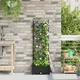 Vrtna saksija Crna 40 x 40 x 125,5 cm Plastika