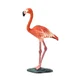 Safari Flamingo