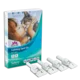 Solano | Calming ampule za pomiritev