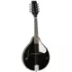 Tanglewood TWM T BKP Union Black Gloss - Mandolina