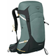 Ženski planinarski ruksak Osprey Sirrus 26 Boja: zelena