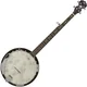 SX BJ555VS Banjo
