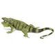 Safari Iguana zelena