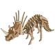 Woodcraft Lesena 3D sestavljanka Triceratops